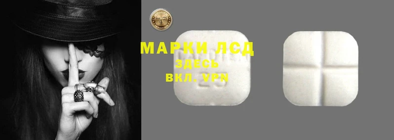 амф Алзамай